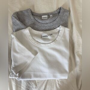 2 Aritiza Sunday Best waist length tee’s